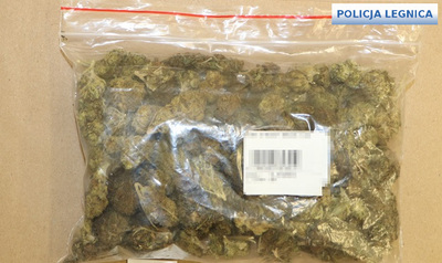 Policjanci z Chojnowa zatrzymali mężczyznę, który posiadał duże ilości narkotyków, ponadto posiadał kradzione elektronarzędzia