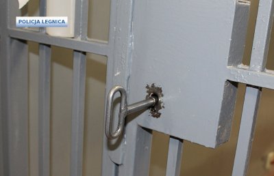 Nieletni sprawca włamań zatrzymany przez chojnowskich policjantów