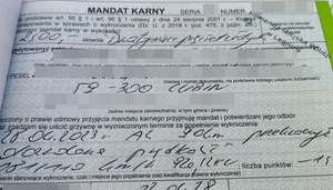 mandat karny na kwotę 2500 zł