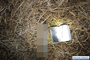 zabezpieczone narkotyki i amunicja