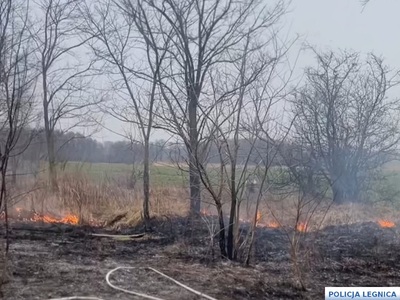 Dzięki szybkiej reakcji dzielnicowego sprawca podpalenia został zatrzymany