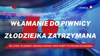 Włamanie do piwnicy i szybkie zatrzymanie podejrzanej o kradzież