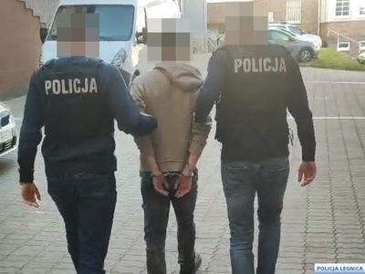 24-latek z Legnicy znęcał się nad psem, został zatrzymany przez policjantów