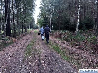 Jak nie zgubić się w lesie? Przeczytaj rady legnickich policjantów