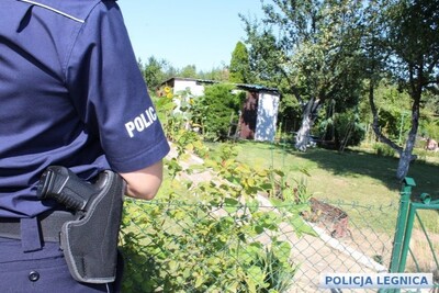 Pierwsze ciepłe dni zachęcają do prac na działkach pamiętajmy o bezpieczeństwie