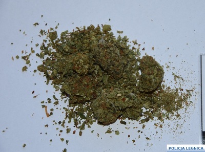 Blisko kilogram narkotyków zabezpieczony! Skuteczna akcja legnickich policjantów