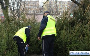 policjantki stoją przy choinkach