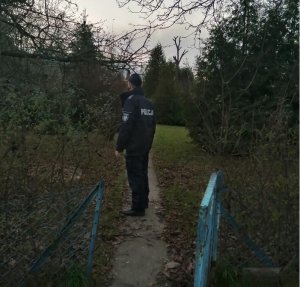 policjant stoi na alei działek