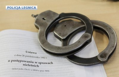 Nieletni sprawca znieważenia i naruszenia nietykalności cielesnej policjantów umieszczony w schronisku dla nieletnich